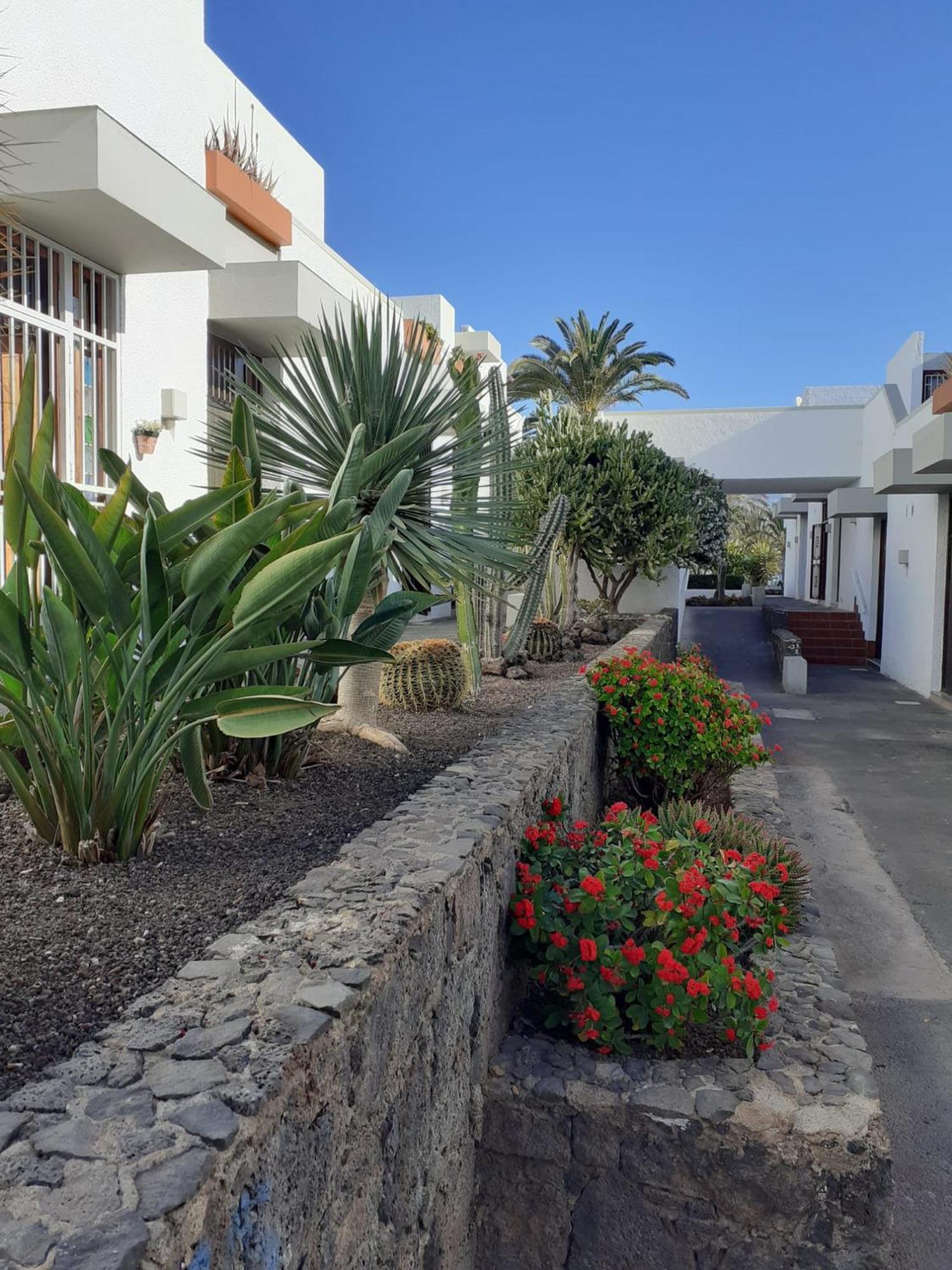 Precioso Apartamento Costa Del Silencio Εξωτερικό φωτογραφία