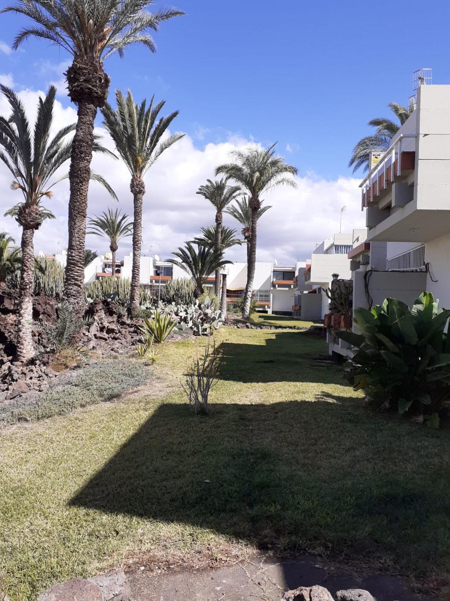 Precioso Apartamento Costa Del Silencio Εξωτερικό φωτογραφία