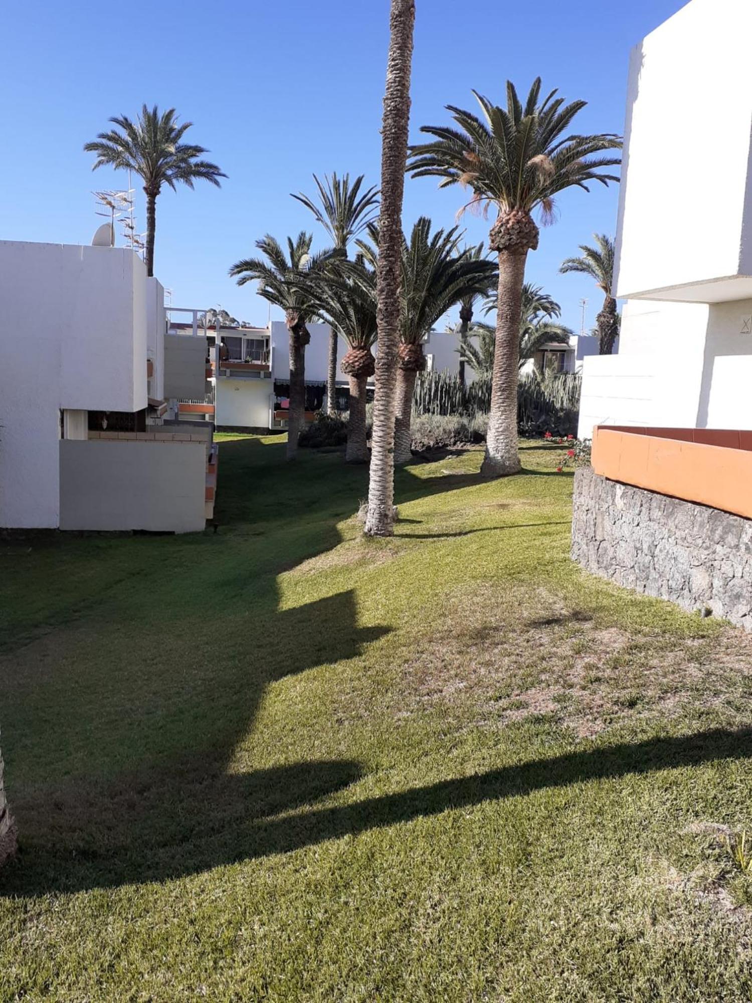 Precioso Apartamento Costa Del Silencio Εξωτερικό φωτογραφία